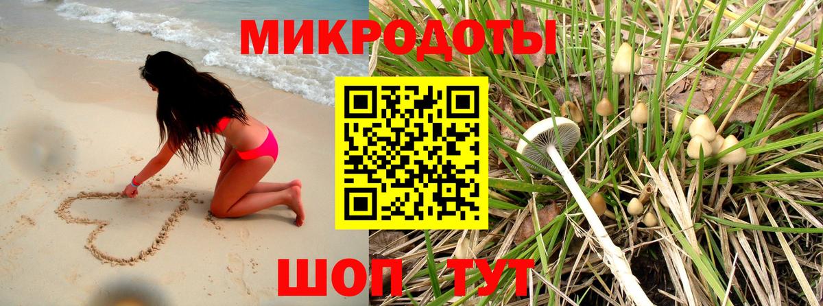 Киселёвск  Псилоцибиновые грибы GOLDEN TEACHER  Галлюциногенные грибы MAGIC MUSHROOMS  Вход с VPN 